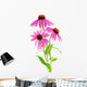 Pink Coneflower Wall Decal