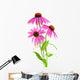 Pink Coneflower Wall Decal