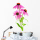 Pink Coneflower Wall Decal