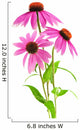 Pink Coneflower Wall Decal