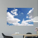 Sky Wall Decal