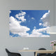 Sky Wall Decal