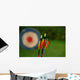 Archery Arrows and Target Wall Decal