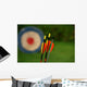 Archery Arrows and Target Wall Decal