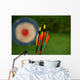 Archery Arrows and Target Wall Decal