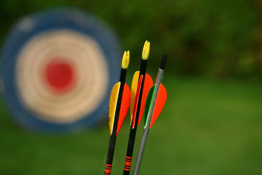 Archery Arrows and Target Wall Decal