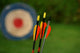 Archery Arrows and Target Wall Decal