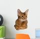 Abyssinian Cat Wall Decal
