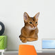 Abyssinian Cat Wall Decal