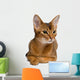 Abyssinian Cat Wall Decal