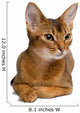 Abyssinian Cat Wall Decal