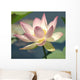 Pink White Lotus Bloom Wall Decal