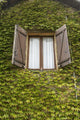 French Window Leaves Wall Decal