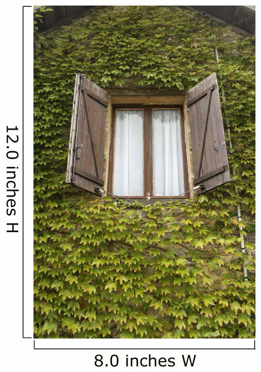 French Window Leaves Wall Decal