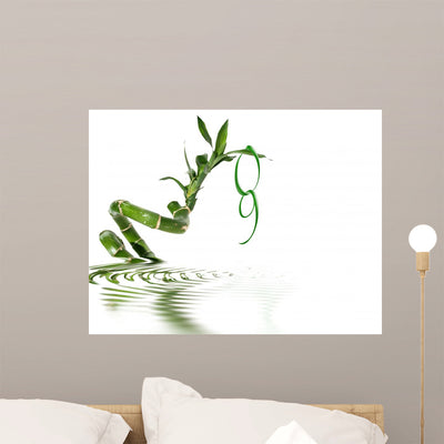 Green Year Wall Decal shown on a wall