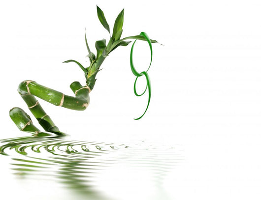 Green Year Wall Decal