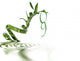 Green Year Wall Decal