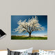 Single Blossoming Tree Spring Wall Decal