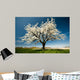 Single Blossoming Tree Spring Wall Decal