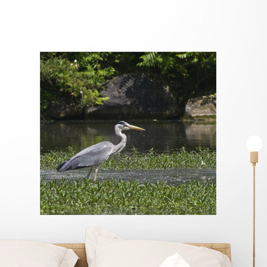Heron Aux Aguets Wall Decal