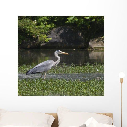 Heron Aux Aguets Wall Decal