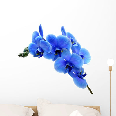 Blue Flower Orchid White Wall Decal shown on a wall