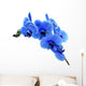 Blue Flower Orchid White Wall Decal