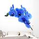 Blue Flower Orchid White Wall Decal