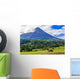 Volcano Arenal Horses Pasture Wall Decal