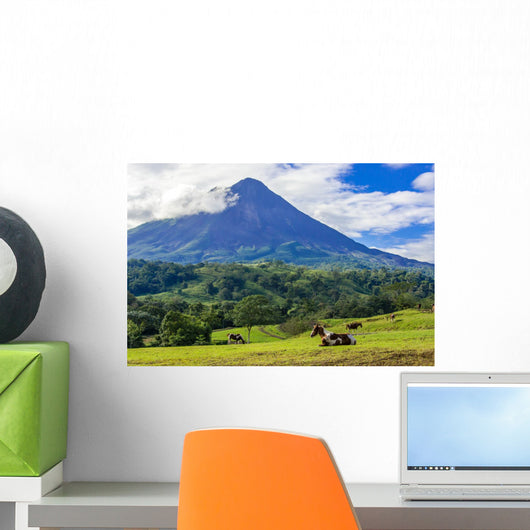 Volcano Arenal Horses Pasture Wall Decal