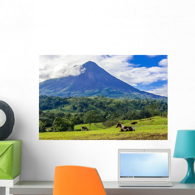 Volcano Arenal Horses Pasture Wall Decal shown on a wall