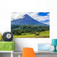 Volcano Arenal Horses Pasture Wall Decal