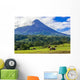 Volcano Arenal Horses Pasture Wall Decal