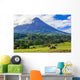 Volcano Arenal Horses Pasture Wall Decal