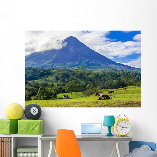 Volcano Arenal Horses Pasture Wall Decal