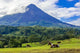 Volcano Arenal Horses Pasture Wall Decal