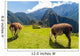 Ruins Machu Picchu Wall Decal