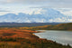 Denali Mountain and Wonder Lake Wall Decal