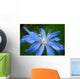 Blue Flower Chicory Wall Decal