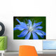 Blue Flower Chicory Wall Decal