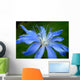 Blue Flower Chicory Wall Decal
