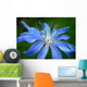 Blue Flower Chicory Wall Decal