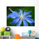 Blue Flower Chicory Wall Decal