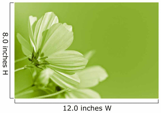 Green Flower Environmental Conservation Wall Decal