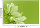 Green Flower Environmental Conservation Wall Decal