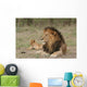 Lion Wall Decal