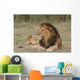 Lion Wall Decal