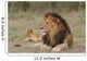 Lion Wall Decal
