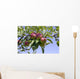 Apples Their Tree Wall Decal