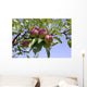 Apples Their Tree Wall Decal